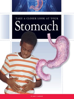 cover image of Take a Closer Look at Your Stomach